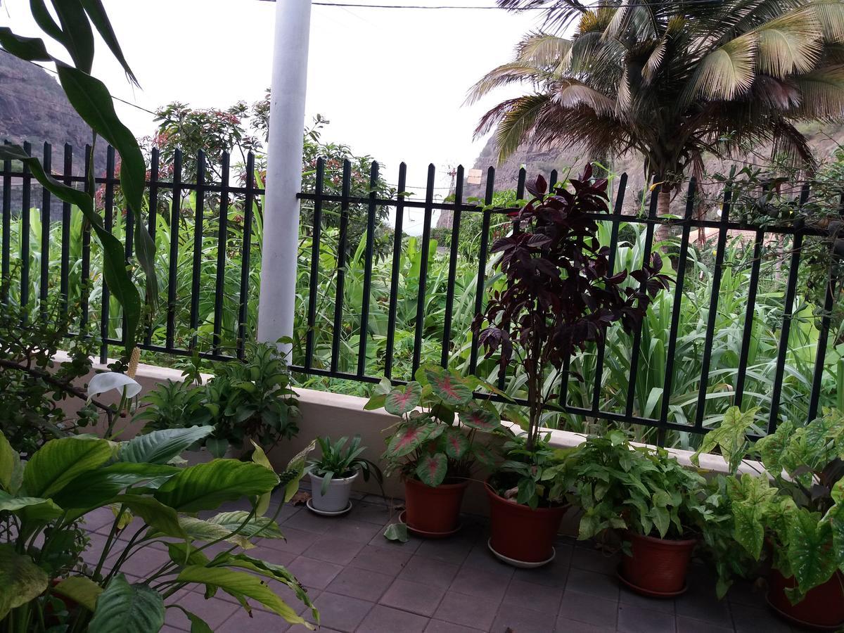 Ribeira Grande Country House Cha de Arroz Zewnętrze zdjęcie