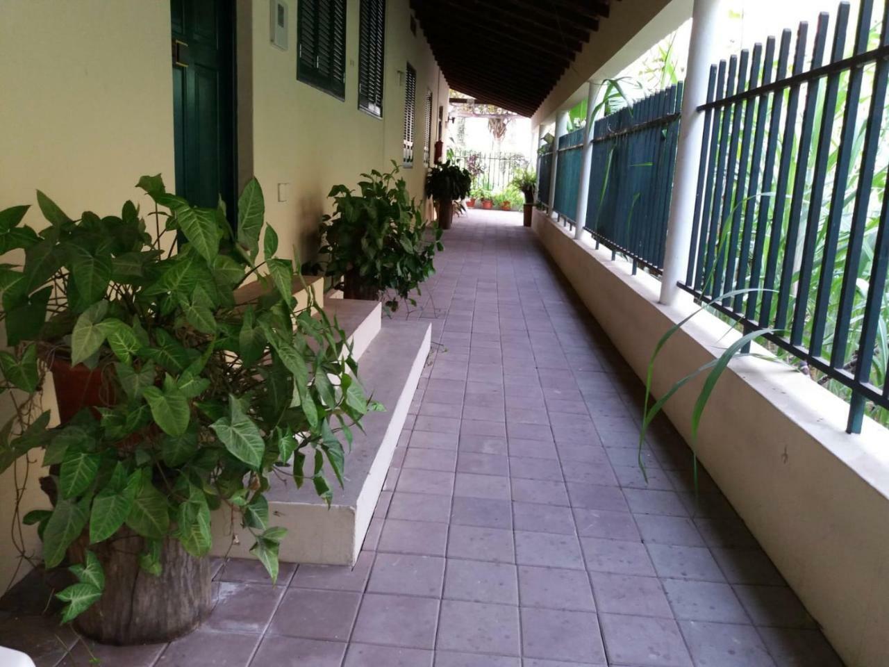 Ribeira Grande Country House Cha de Arroz Zewnętrze zdjęcie