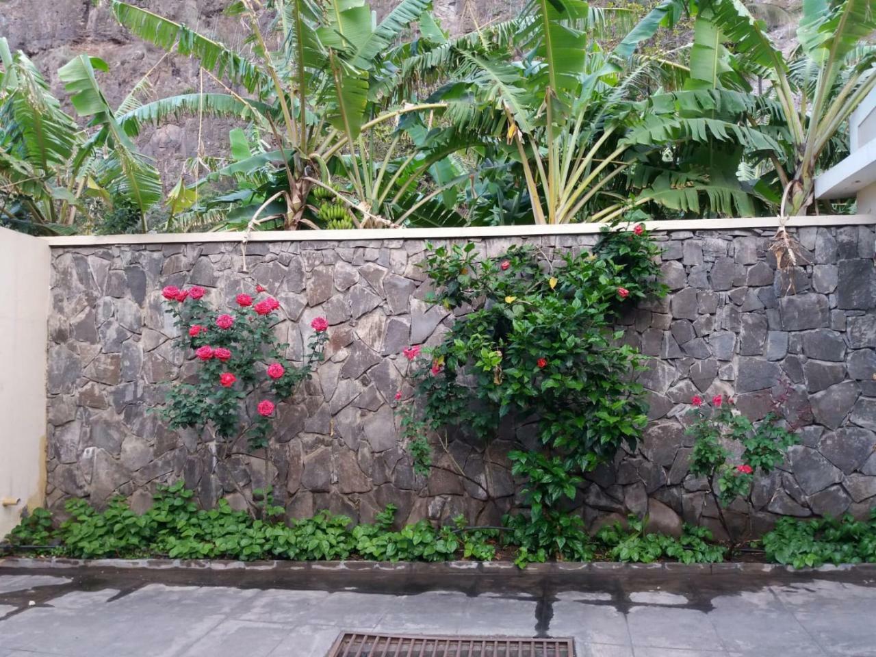 Ribeira Grande Country House Cha de Arroz Zewnętrze zdjęcie