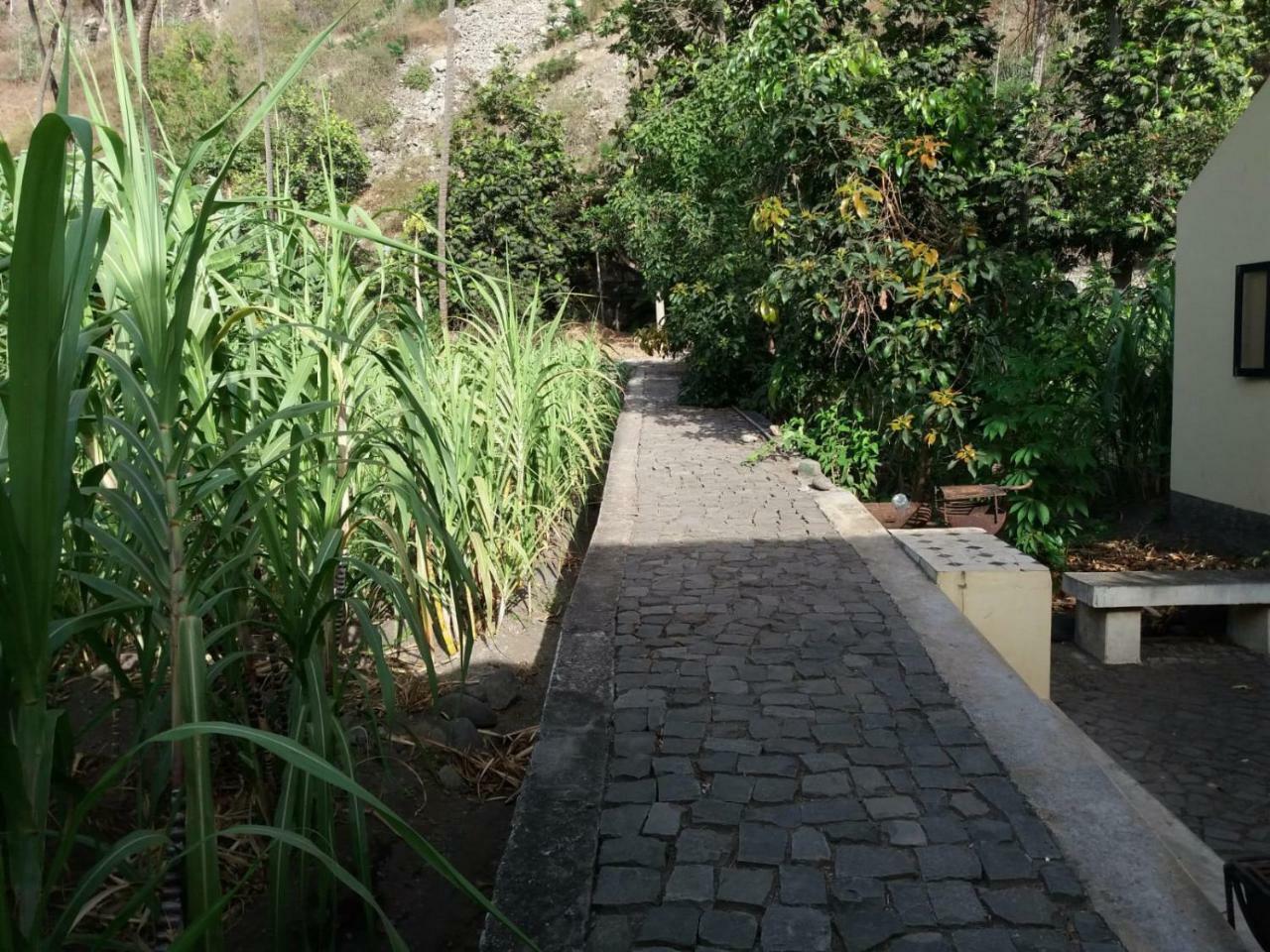Ribeira Grande Country House Cha de Arroz Zewnętrze zdjęcie