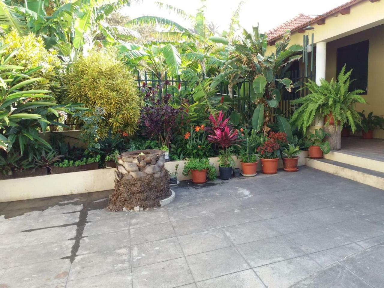 Ribeira Grande Country House Cha de Arroz Zewnętrze zdjęcie