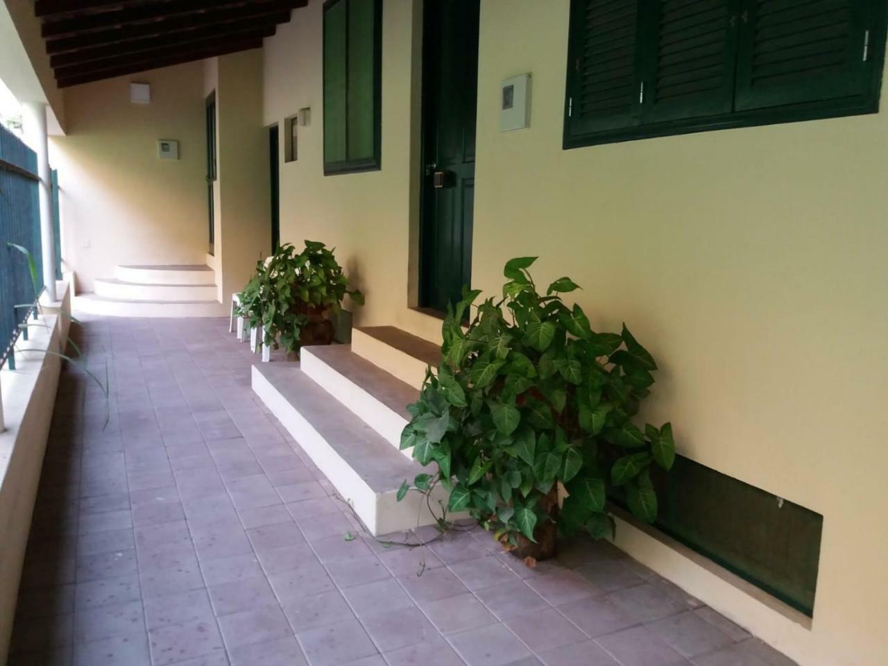 Ribeira Grande Country House Cha de Arroz Zewnętrze zdjęcie