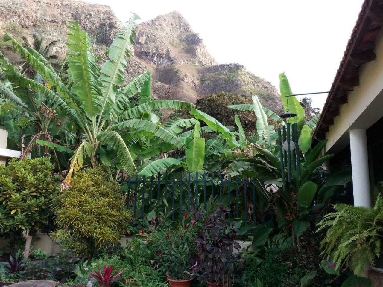 Ribeira Grande Country House Cha de Arroz Zewnętrze zdjęcie